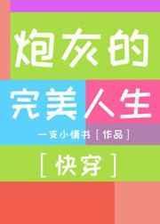 炮灰的完美人生txt