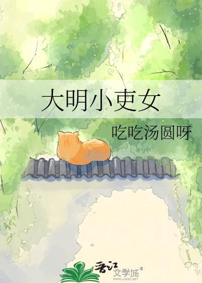 大明小婢结局是什么