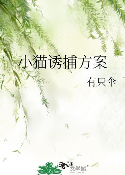 怎么诱捕小猫崽