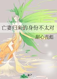 亡妻归来的身份不太对全文