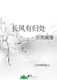 长风有归处TXT百度资源