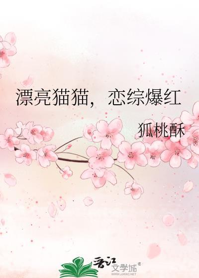 好漂亮的猫咪