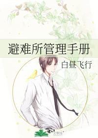 避难所模式