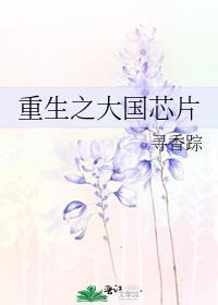 大国芯片笔趣阁