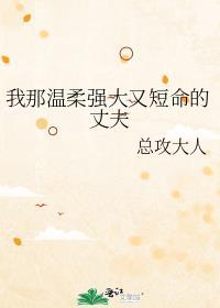 我那温柔强大又短命的丈夫女主父亲的故事