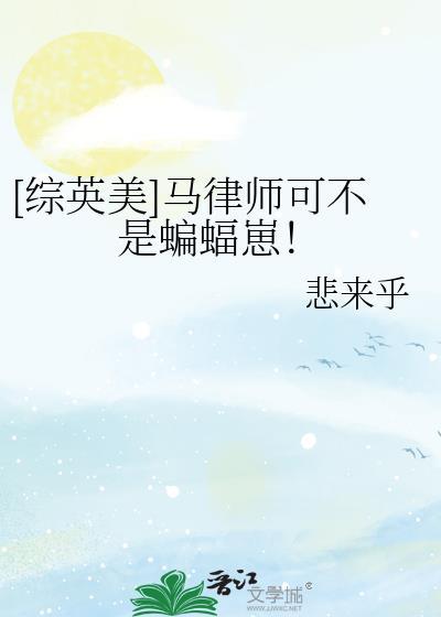 马律师简介
