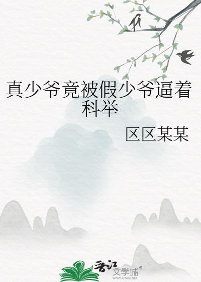 真少爷和假少爷he了乐文