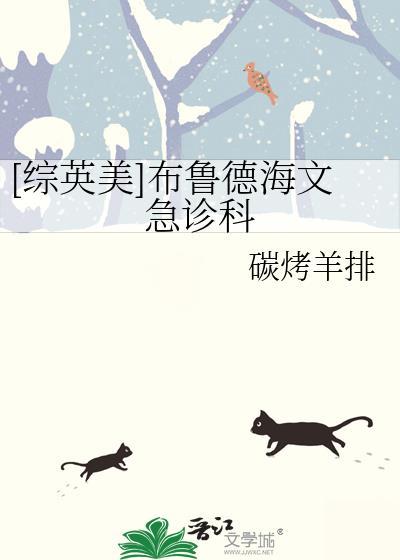 综英美布鲁德海文急诊科免费阅读