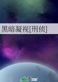 凝视黑夜片尾曲