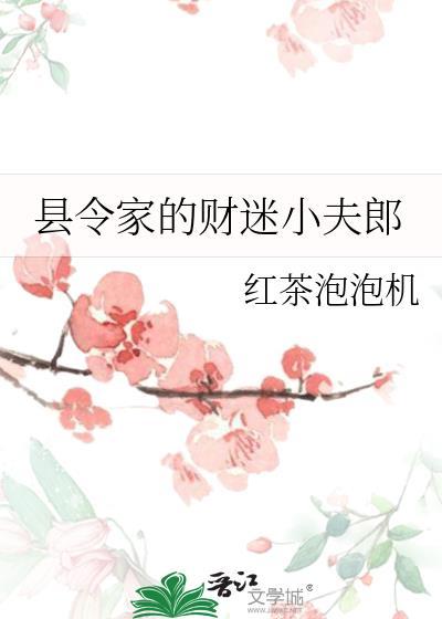 县令家的财迷小夫郎免费阅读全文