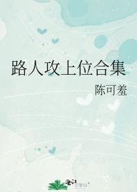 路人攻上位合集评价