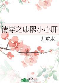 清穿之康熙心尖宠大结局