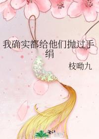 我确实都给他们抛过手绢讲了什么