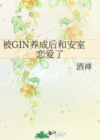 被Gin养成后和安室恋爱了酒禅