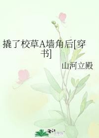 撬了前任新欢番外txt