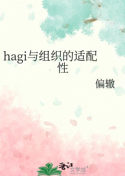 hagi与组织的适配性晋江