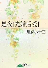 是夜先婚后爱州府小十三全文免费阅读