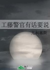 工藤警官有话要说盘