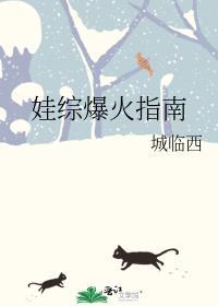 娃综爆火指南txt