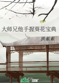 大师兄爷爷教训葵花跑