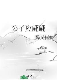 公子应翩翩txt