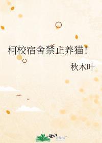学校宿舍能养猫吗