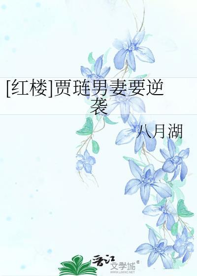 男主贾琏