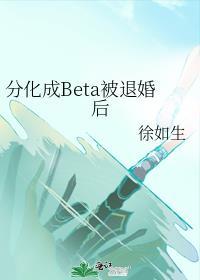 分化成beta被退婚后笔趣