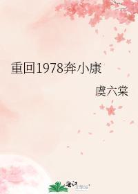 重回1978开始