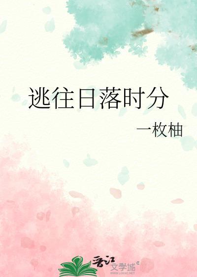 逃往日落时分TXT