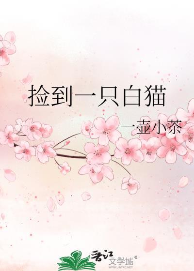 捡了只白色的猫回家养好不好