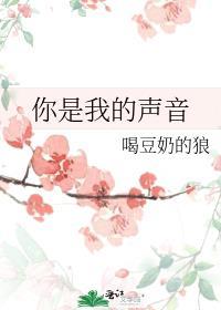 是你的声音dj