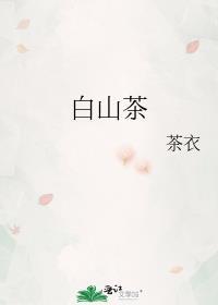白山茶的日常