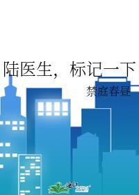 陆医生标记一下全文免费阅读