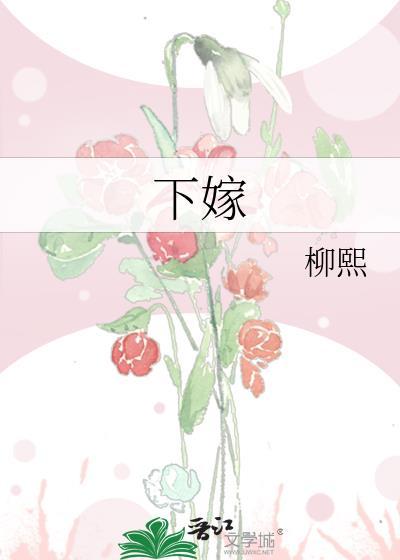 下嫁的第三年