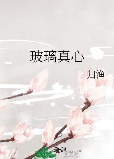 玻璃boy