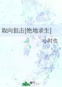 pubg取向狙击全文