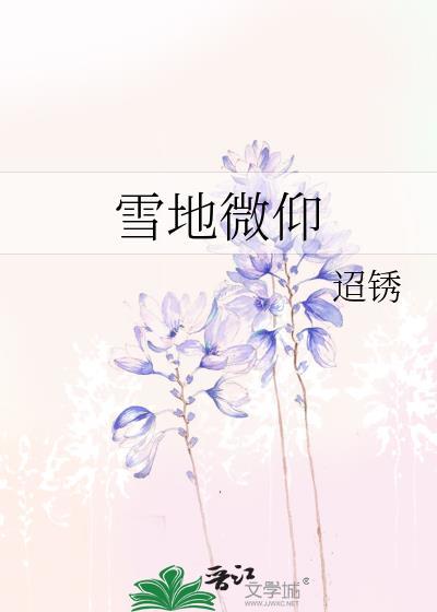 雪地贴吧