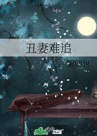 丑妻难追by第四世