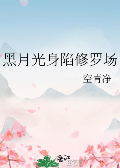感觉没啥人推这个
