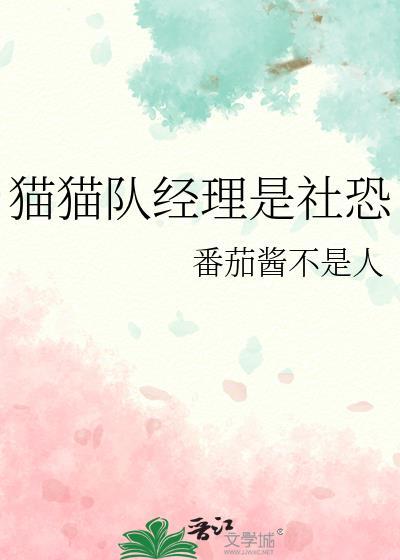 猫队长是什么电视剧