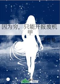 因为穷只能开报废机甲