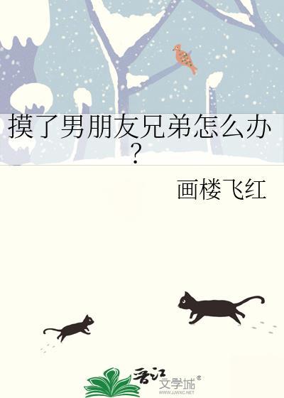 摸了男朋友兄弟怎么办第91章