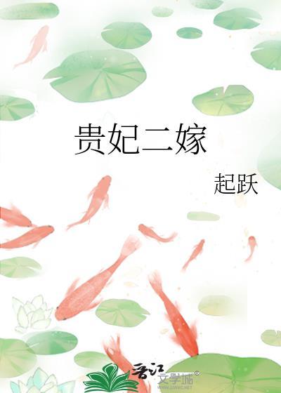 贵妃二嫁结局是什么