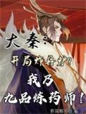 大秦开局炸丹炉，我乃九品炼药师