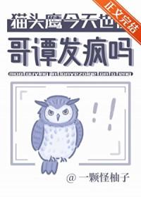 [综英美] 猫头鹰今天也在哥谭发疯吗